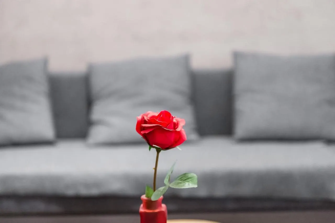 Apartamenty Bosacka Wawelofts Krakow Apartment